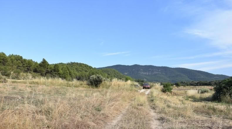 Teruel - Fuentespalda - 11463m2