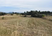 Chalet independiente con terreno en venta en la España, Fuentespalda, ref: TR337066 foto