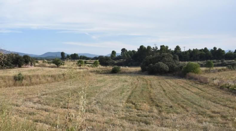Teruel - Fuentespalda - 11463m2