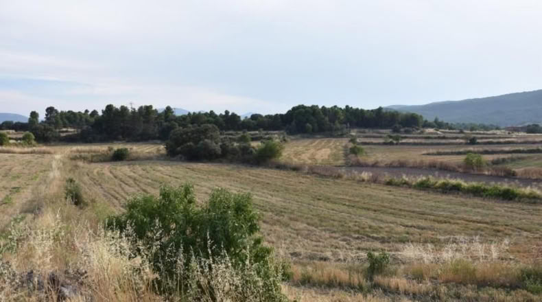 Teruel - Fuentespalda - 11463m2
