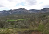 Detached villa with land for sale on España, Horta de Sant Joan, ref: TR303451 photo