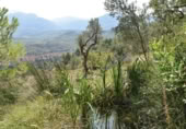 Detached villa with land for sale on España, Horta de Sant Joan, ref: TR303451 photo