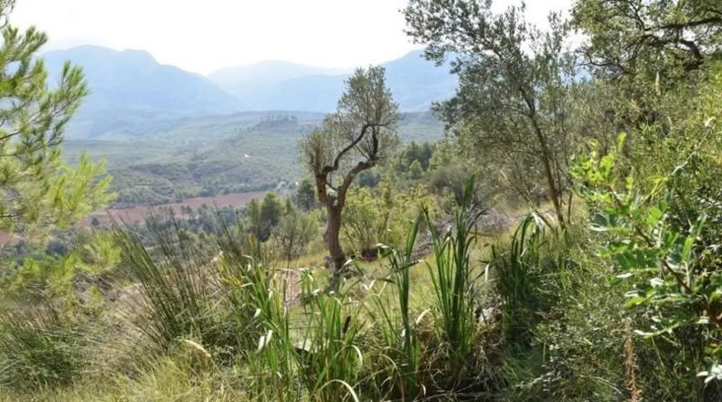 Tarragona - Horta de Sant Joan - 1170m2