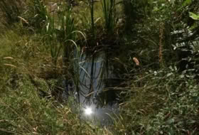 Foto 13