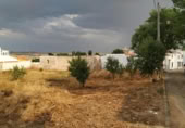 Land suitable for development for sale on España, Rozalén del Monte, ref: TR304605 photo