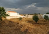 Land suitable for development for sale on España, Rozalén del Monte, ref: TR304605 photo