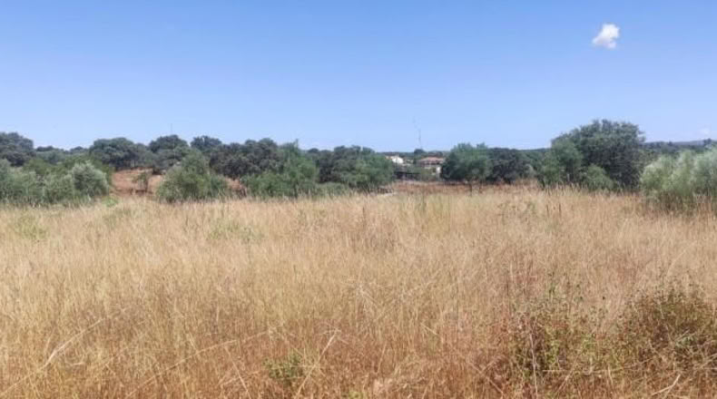 Cáceres - Arroyo de la Luz - 2800m2