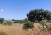 Terreno no urbanizable en venta en la España, Arroyo de la Luz, ref: TR300976 foto