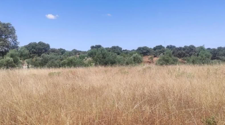 Cáceres - Arroyo de la Luz - 2800m2