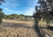 Terreno no urbanizable en venta en la España, Ascó, ref: TR301450 foto