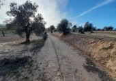 Terreno no urbanizable en venta en la España, Ascó, ref: TR301450 foto
