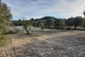 Ascó 5497&nbsp;m² 