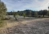 Terreno no urbanizable en venta en la España, Ascó, ref: TR301450 foto