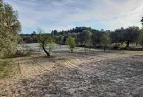 Ascó 5497&nbsp;m² 