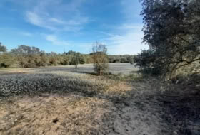 Ascó 5497&nbsp;m² 