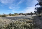 Terreno no urbanizable en venta en la España, Ascó, ref: TR301450 foto