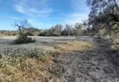 Terreno no urbanizable en venta en la España, Ascó, ref: TR301450 foto