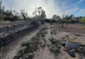 Terreno no urbanizable en venta en la España, Ascó, ref: TR301450 foto