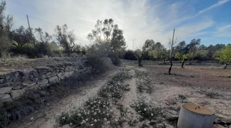 Murcia - Cieza - 5497m2