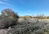 Terreno no urbanizable en venta en la España, Ascó, ref: TR301450 foto