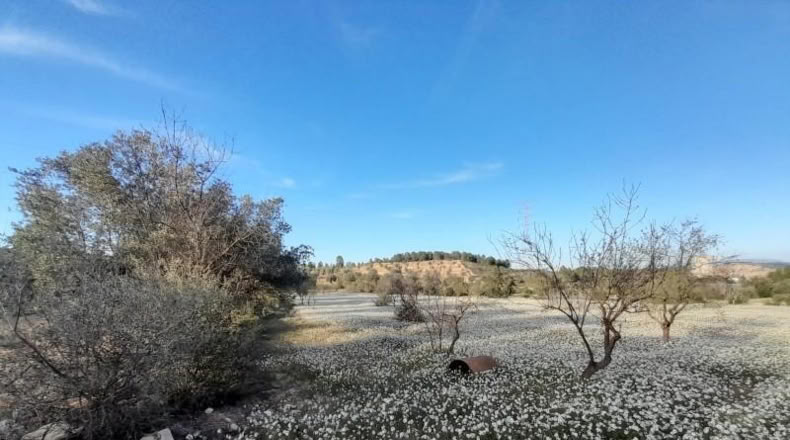 Murcia - Cieza - 5497m2