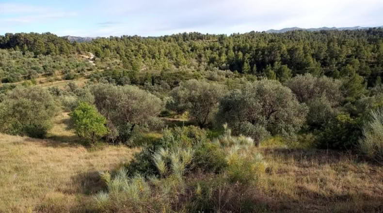 Tarragona - la Torre de l'Espanyol - 19516m2