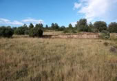Non-developable land for sale on España, la Torre de l'Espanyol, ref: TR301400 photo