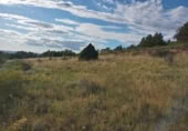 Non-developable land for sale on España, la Torre de l'Espanyol, ref: TR301400 photo