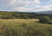Non-developable land for sale on España, la Torre de l'Espanyol, ref: TR301400 photo