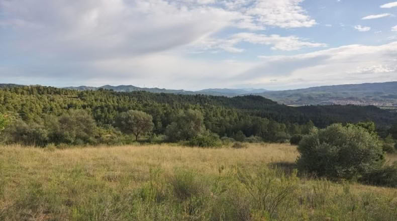 Tarragona - la Torre de l'Espanyol - 19516m2