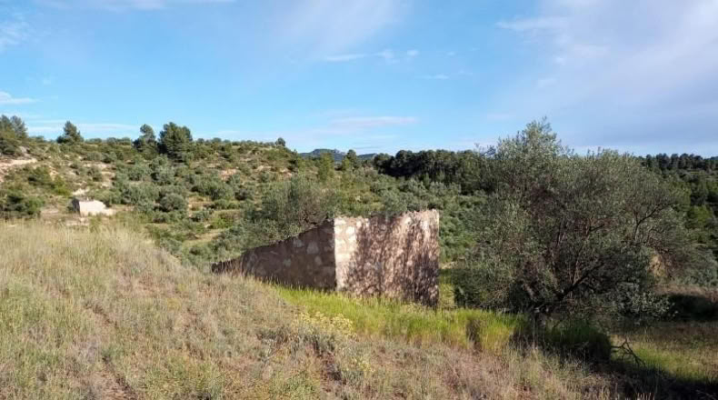 Tarragona - la Torre de l'Espanyol - 19516m2