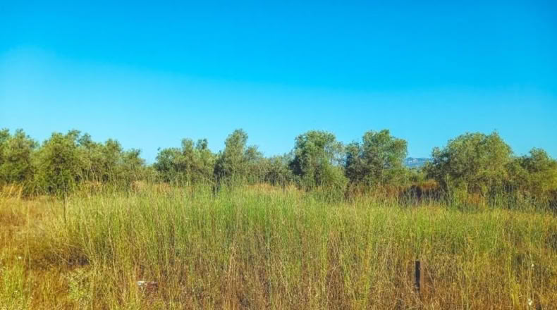 Tarragona - Ulldecona - 4029m2