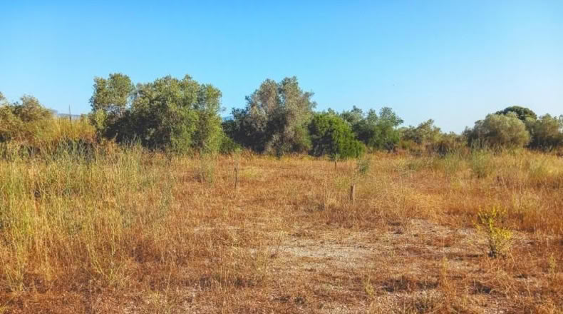 Tarragona - Ulldecona - 4029m2