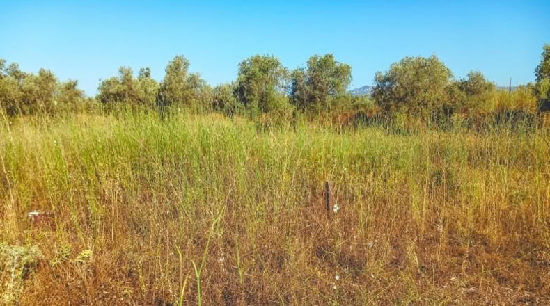Tarragona - Ulldecona - 4029m2