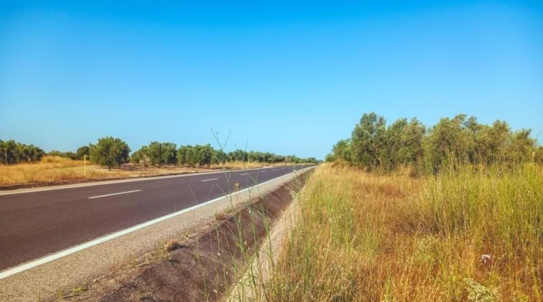 Tarragona - Ulldecona - 4029m2