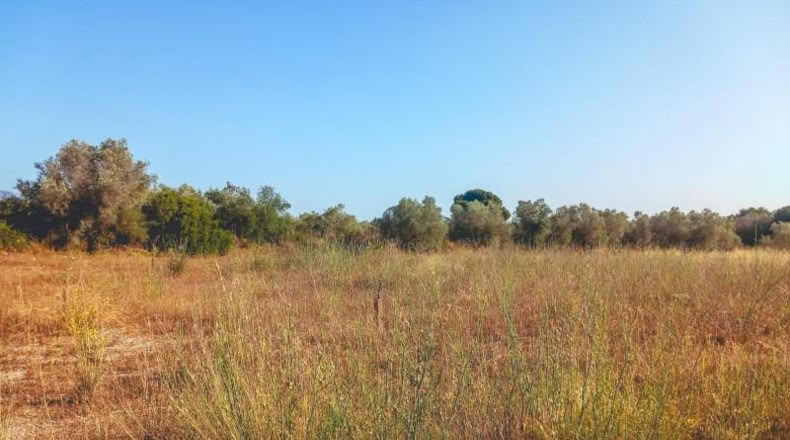 Tarragona - Ulldecona - 4029m2