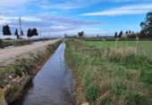 Terreny no urbanitzable en venda a la España, Amposta, ref.: TR312670 foto