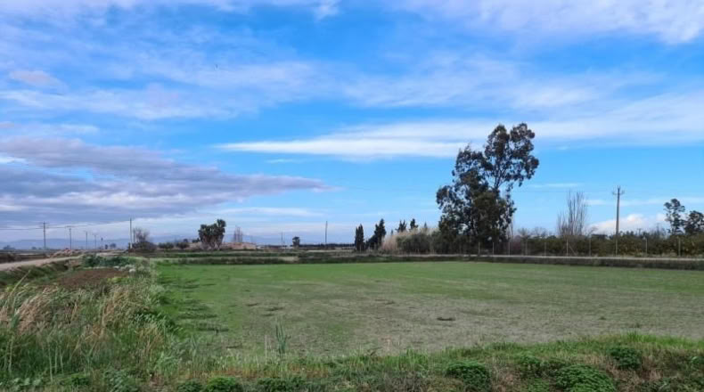 Tarragona - Amposta - 2517m2