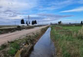 Terreny no urbanitzable en venda a la España, Amposta, ref.: TR312670 foto