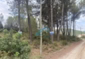 Parcel·la urbanitzable en venda a la España, la Joncosa del Montmell, ref.: TR304188 foto