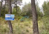 Parcel·la urbanitzable en venda a la España, la Joncosa del Montmell, ref.: TR304188 foto