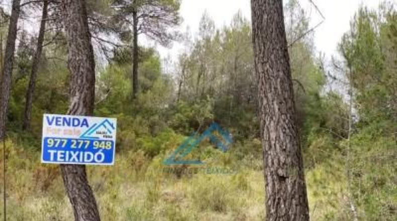 Tarragona - la Joncosa del Montmell - 1019m2