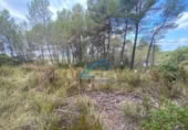 Parcel·la urbanitzable en venda a la España, la Joncosa del Montmell, ref.: TR304188 foto