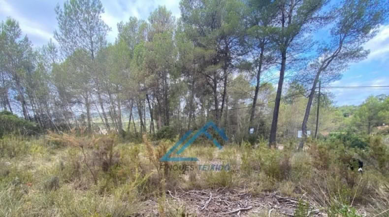 Tarragona - la Joncosa del Montmell - 1019m2