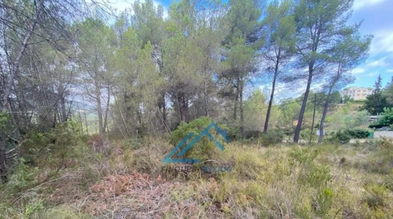 Tarragona - la Joncosa del Montmell - 1019m2