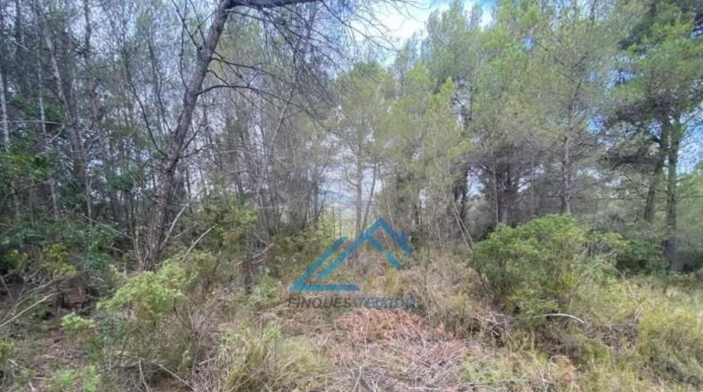Tarragona - la Joncosa del Montmell - 1019m2