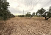 Terreno no urbanizable en venta en la España, Bollullos Par del Condado, ref: TR341606 foto