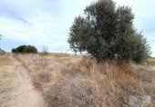 Terreno no urbanizable en venta en la España, Bollullos Par del Condado, ref: TR341606 foto