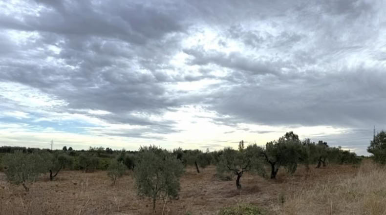 Huelva - Bollullos Par del Condado - 5743m2