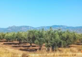 Terreno no urbanizable en venta en la España, la Galera, ref: TR311609 foto